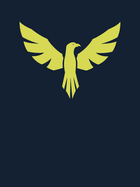 Iron_condor_tile
